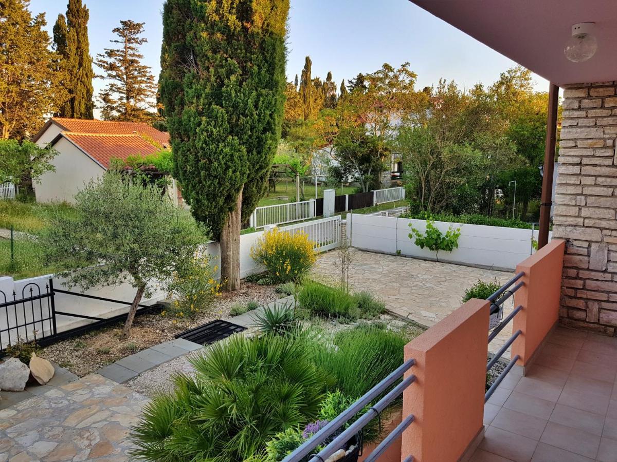 Cypress Tree Holiday Apartments Privlaka  Exteriér fotografie
